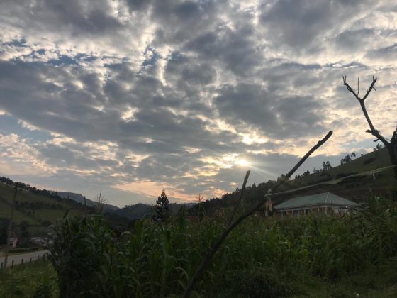 the-best-months-to-visit-uganda