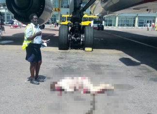 Emirates cabin crew member falls from plane at Entebbe airport