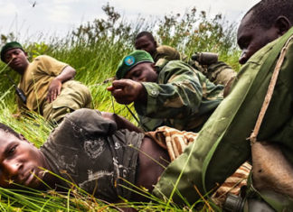 Game ranger killed and 3 kidnapped at Virunga national park of DR. Congo