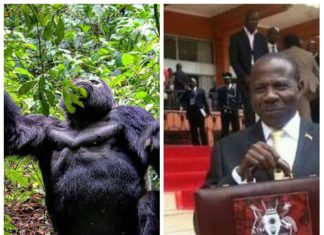 Tourism Sector Named Income Car of Uganda in The National Budget