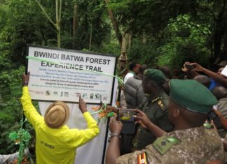 UWA Launches Batwa Forest Experience in Bwindi