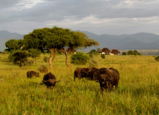 ICT Ministry solicit for Shs68bn to Connect Internet in Uganda’s Tourist Sites