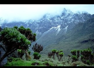 Had a Break Up? 4 Best Places to Go in Uganda