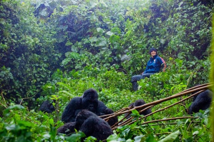 David Luiz tracks gorillas