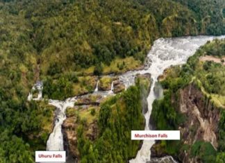 Save Murchison Falls Campaign Takes Another Twist.