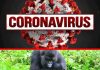 Tourism to be Hard Hit by Coronavirus