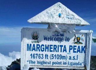 The Mystic Mountains of the Moon – The Rwenzori Mountains
