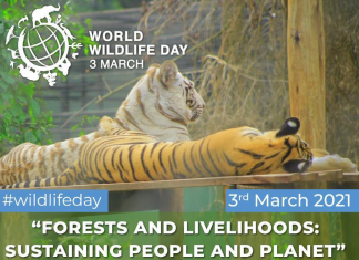 UWEC to Celebrate World Wildlife Day in Style