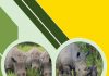 Ziwa Rhino Sanctuary Re-opening on 10th June 2021