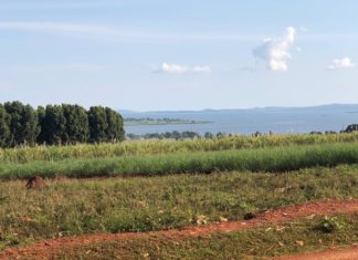 Kakira; The Sugar Town of Jinja District in Eastern Uganda