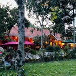 The Forest Resort – Lweza