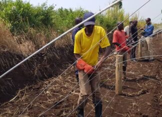 UWA Plans to Install Electric Fences Around National Parks Electric fence in QENP