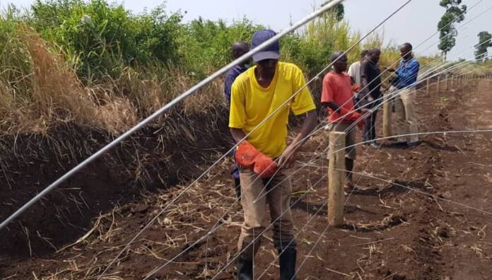 Electric fence in QENP