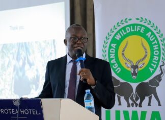 Stakeholders Highlight Positive Trends for Uganda’s Tourism Sector