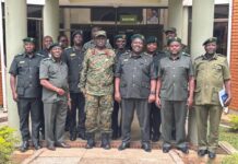 UWA to Start Chimpanzee Habituation in Bwindi Forest NP UWA to habituate Chimps in Bwindi