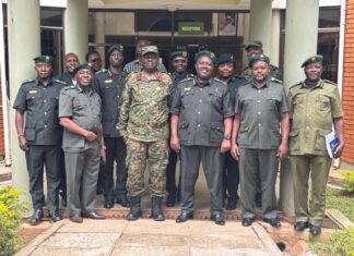 UWA to Start Chimpanzee Habituation in Bwindi Forest NP UWA to habituate Chimps in Bwindi