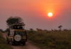Inside Uganda’s Tourism Business: How Tour Operators Drive Safari Experiences and Economic Growth Uganda's Beautiful Sunset