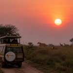 Sunset in Murchison Falls